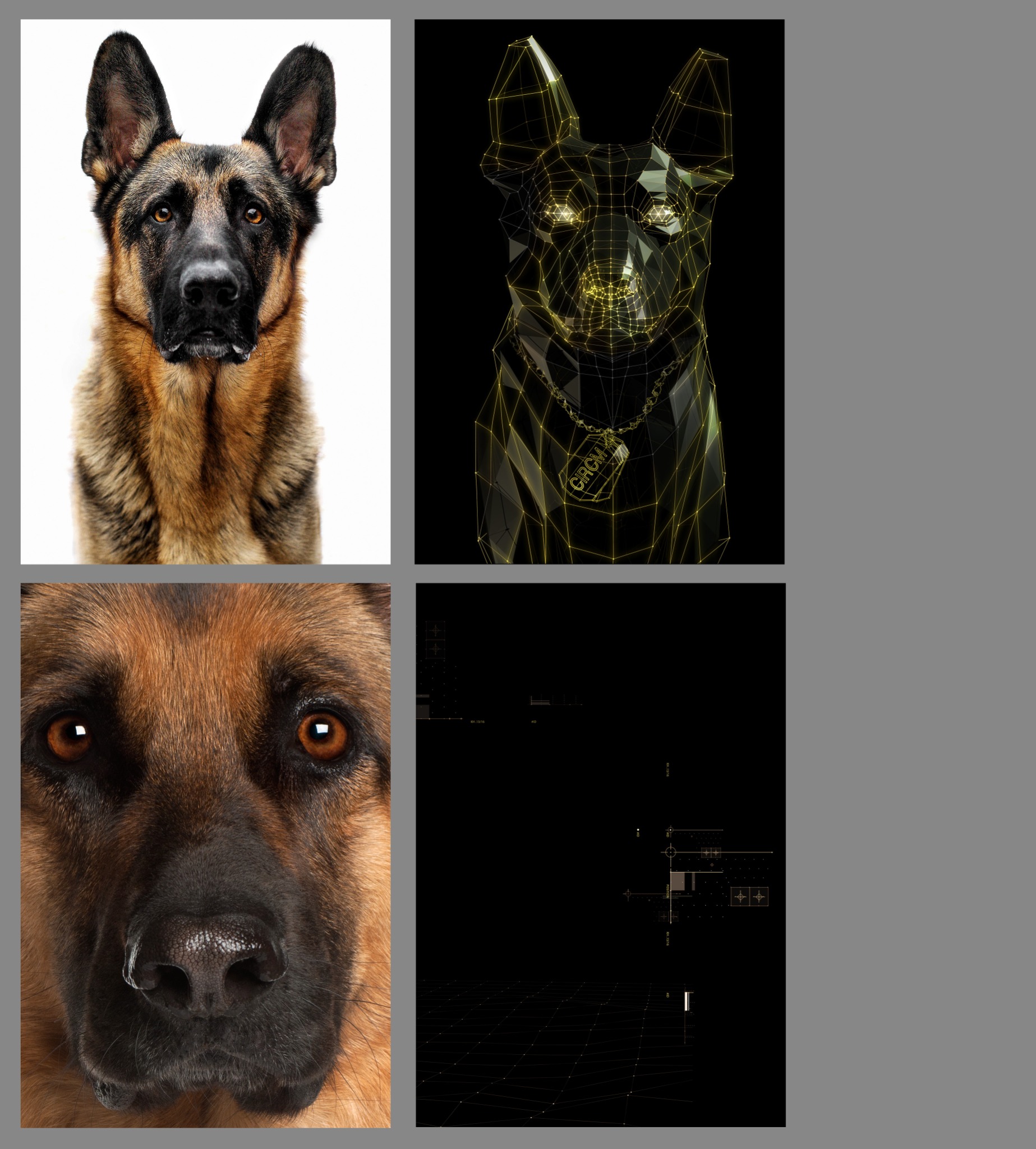 German Shepherd composite source elements